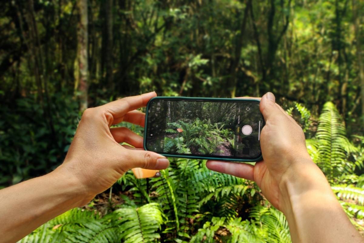 A man takes a photo on his iPhone in the forest. | Skylum Blog

