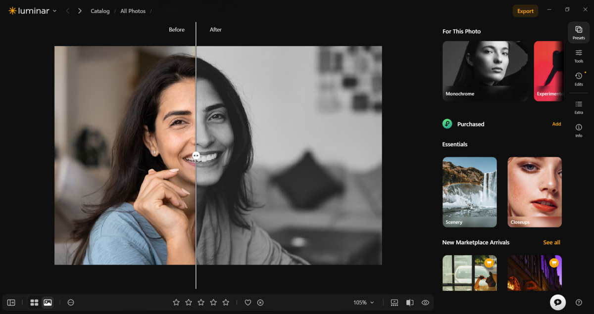 Presets in Luminar | Skylum Blog

