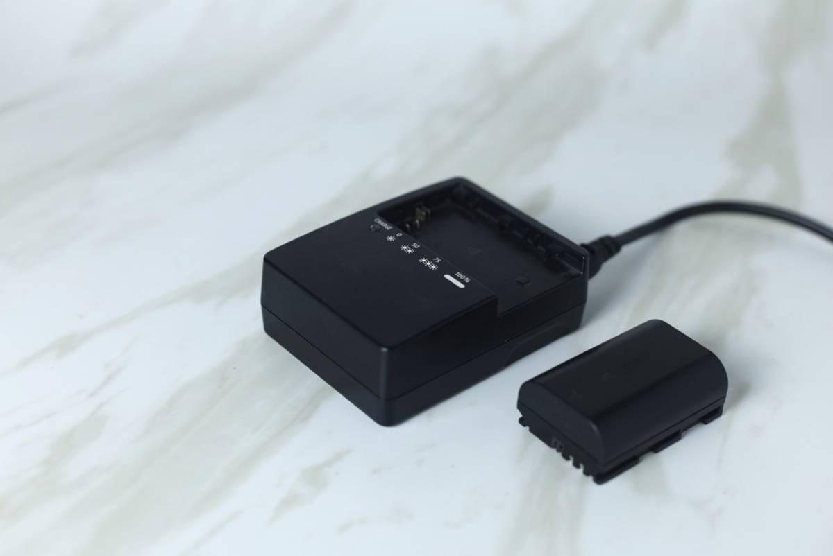 Battery on camera | Skylum Blog

