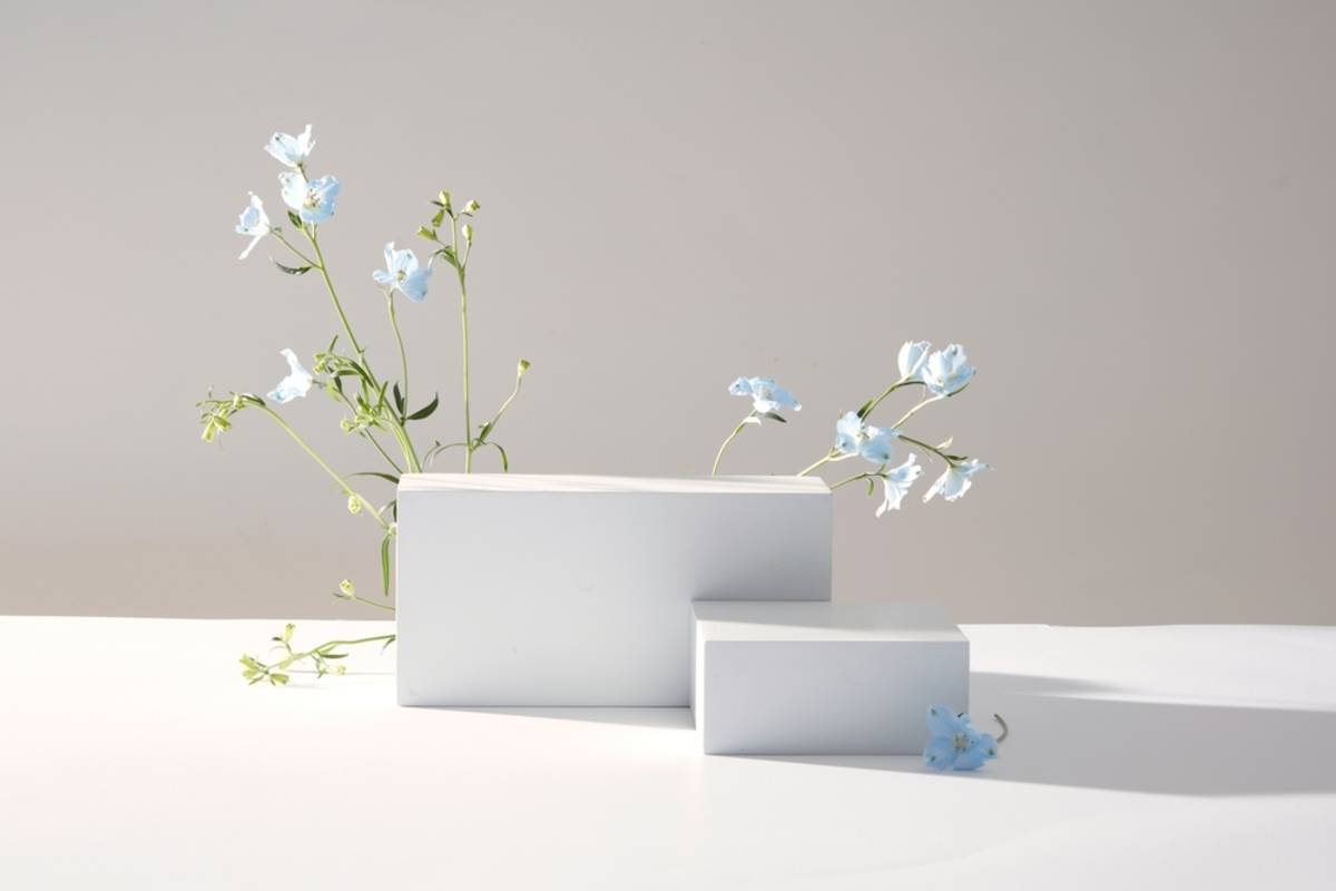 Minimal white product display with decorative flowers | Skylum Blog

