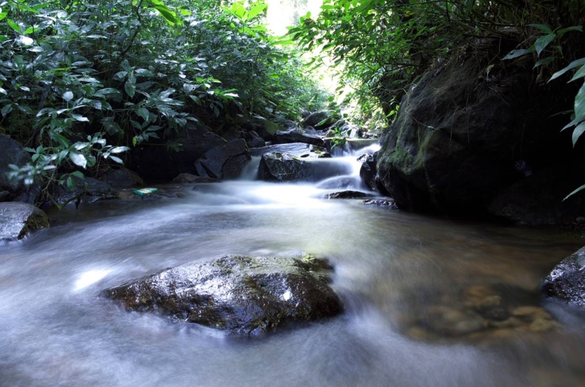 Kleiner, sanft fließender Fluss im Wald | Skylum-Blog

