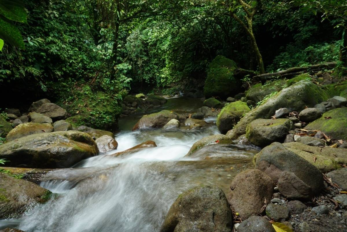 Ein reißender Fluss, der über Felsen fließt | Skylum-Blog

