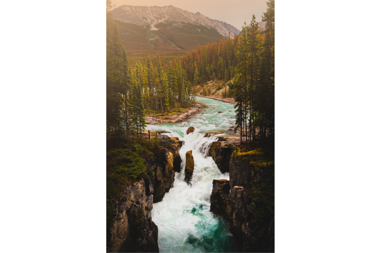 Mountain river flowing through a green forest | Skylum Blog

