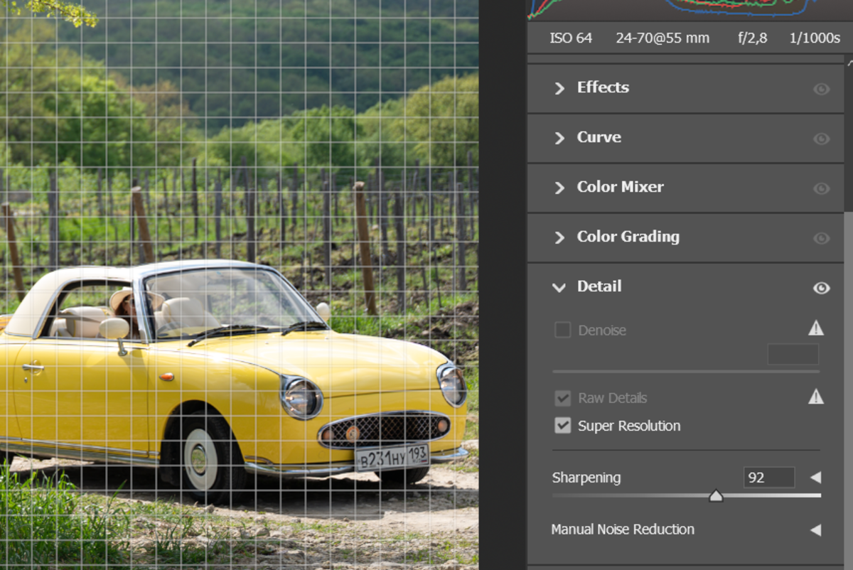 Camera Raw's Super Resolution | Skylum How-to