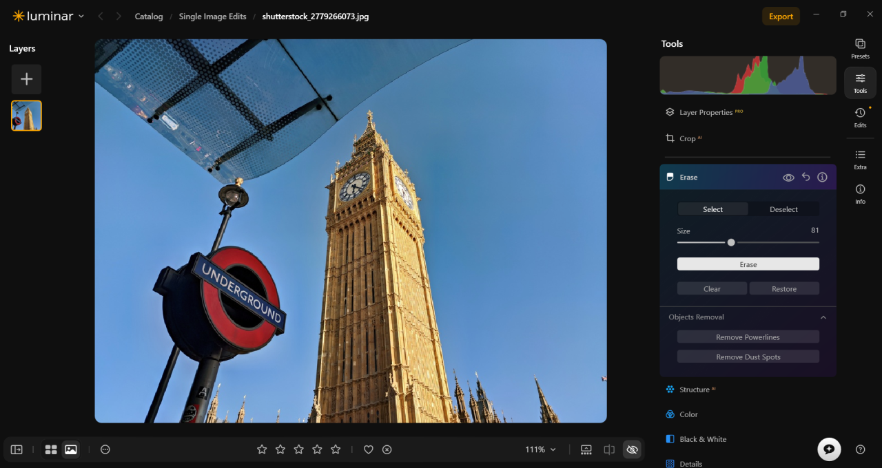 Luminar’s Erase tool