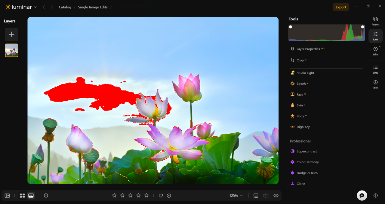 Histogram i przycinanie w programie Luminar | Blog Skylum