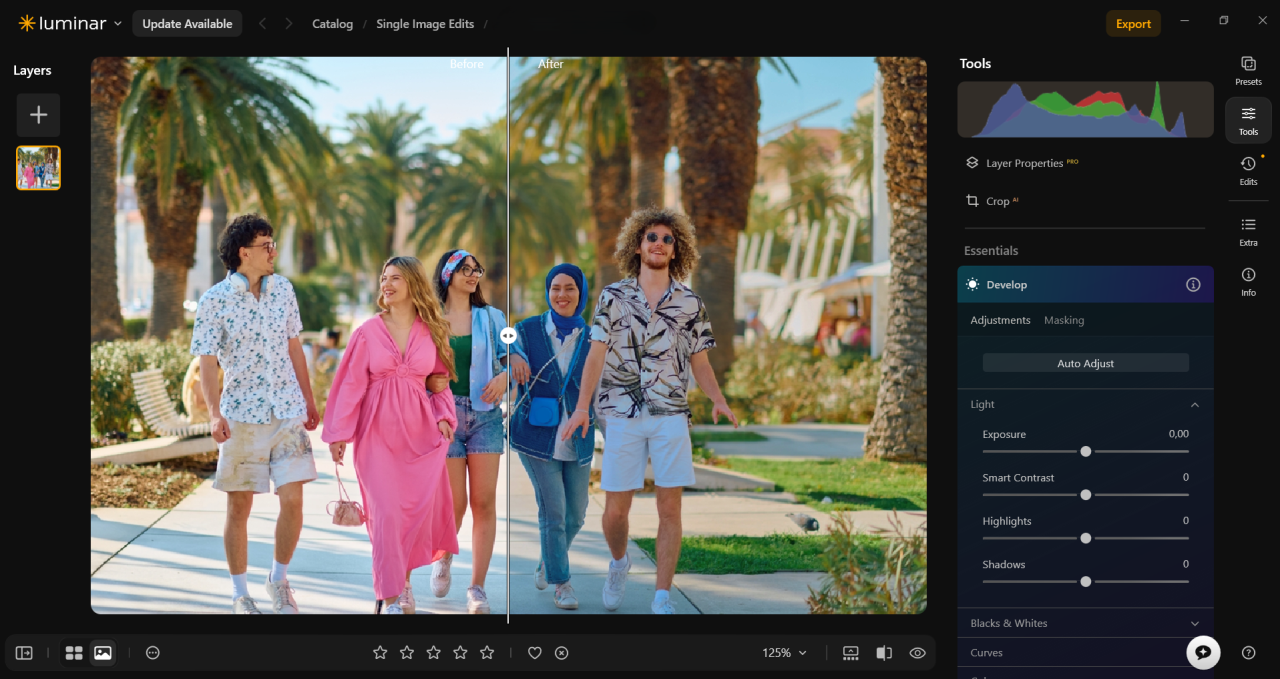 Develop RAW tool in Luminar