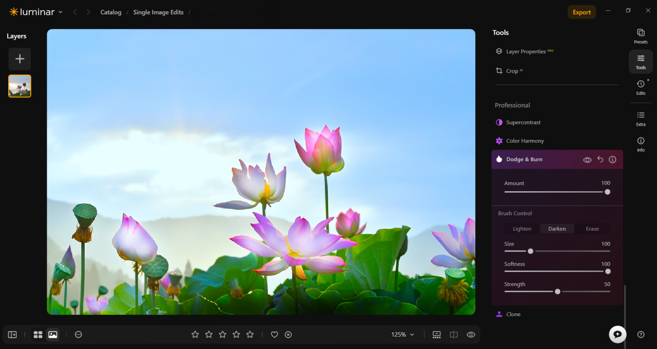 Techniki „Dodge and Burn” w programie Luminar | Blog Skylum