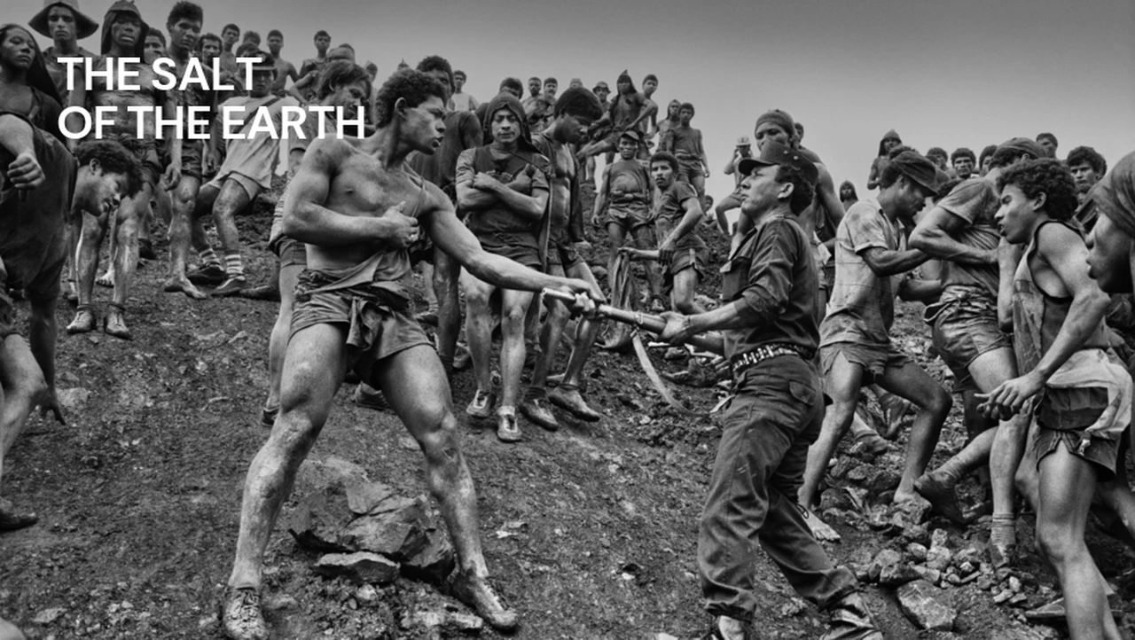 The Salt of the Earth