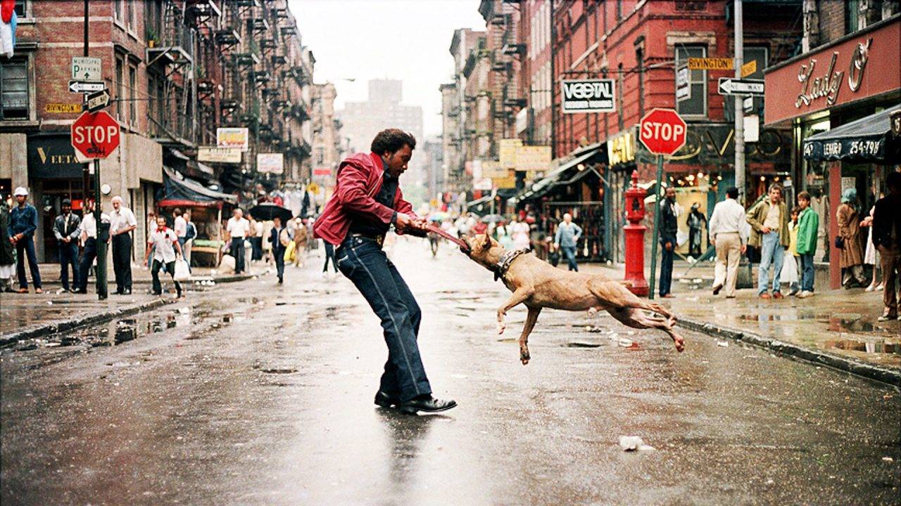 Everybody Street