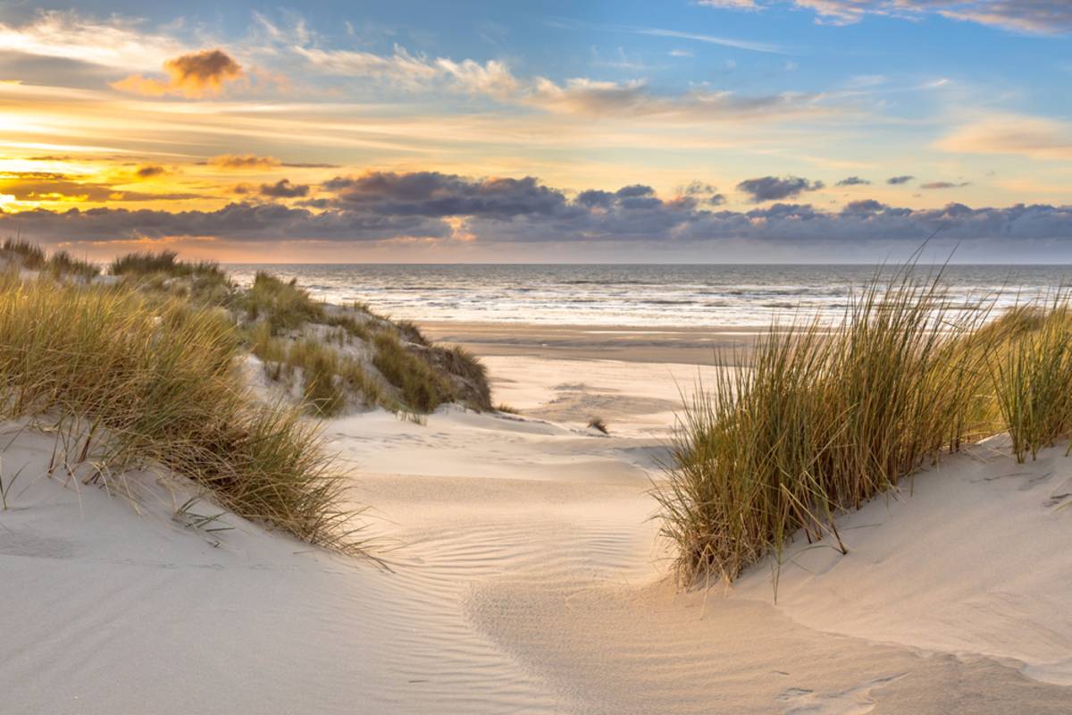 Long exposure beach scene framed by foreground dunes | Skylum Blog

