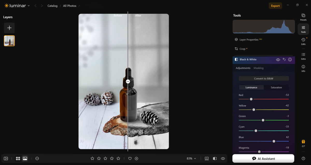 Zwart-wit in Luminar | Skylum-blog

