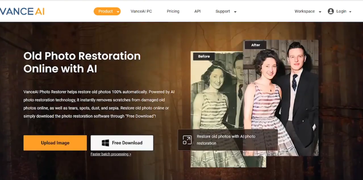 VanceAI Photo Restorer