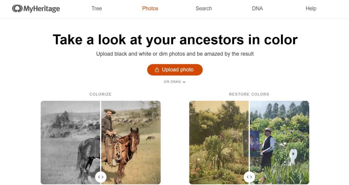 MyHeritage In Color