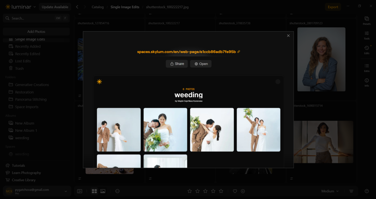 Luminar share dialog with a web gallery link above thumbnails from a wedding album