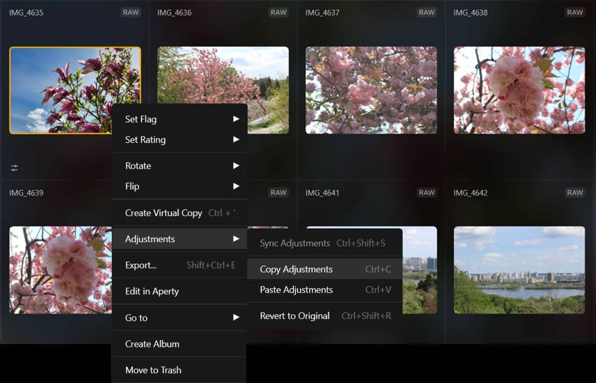 Right-click menu on a cherry blossom photo grid with Adjustments submenu showing Copy Adjustments