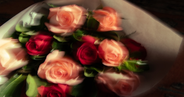 Bouquet of pink and red roses wrapped in paper, captured with heavy motion blur