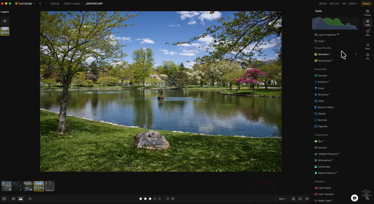 Luminar Tools panel listing Essentials and Landscape sliders beside a park pond with blossoming trees
