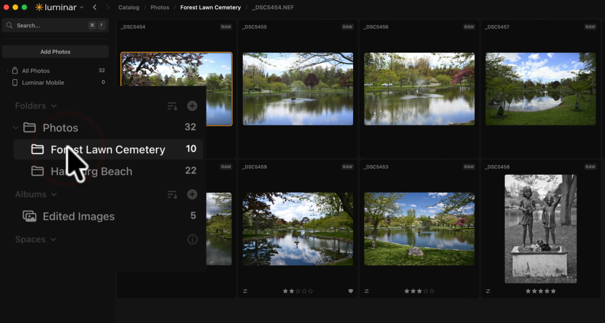 Luminar catalog view with Forest Lawn Cemetery folder selected, showing park and pond RAW photos