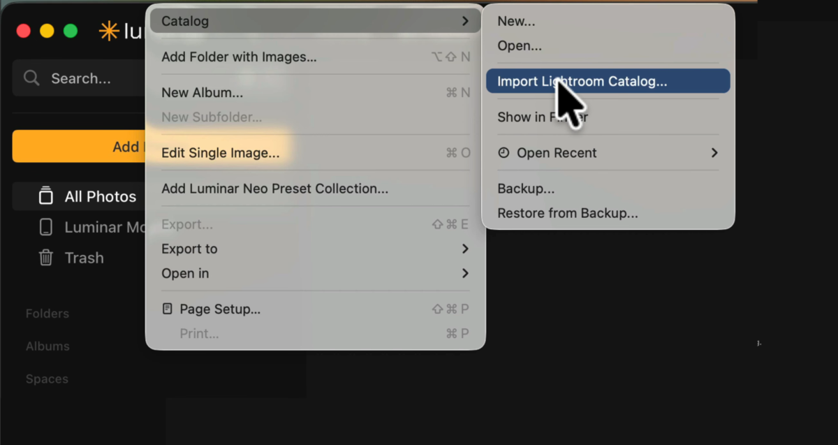 Luminar Catalog menu with Import Lightroom Catalog option highlighted