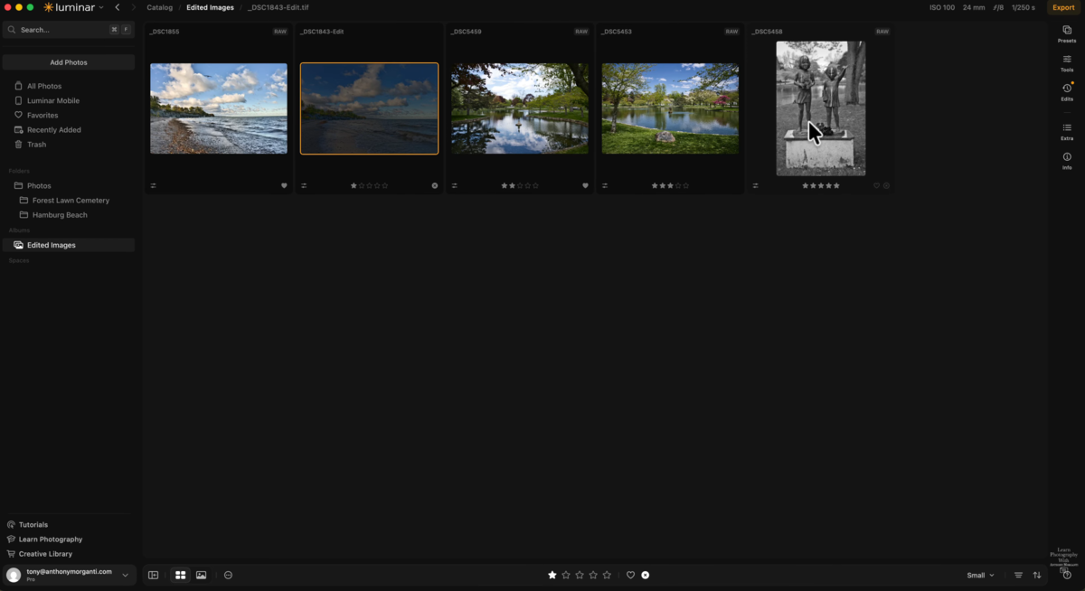 Luminar Edited Images album with beach, lake and cemetery statue thumbnails and star ratings