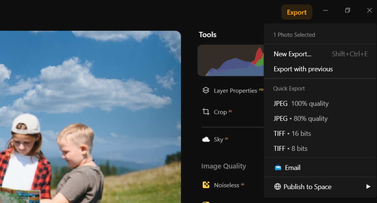 Luminar Export menu open with JPEG, TIFF and Publish to Space options over a portrait of two children