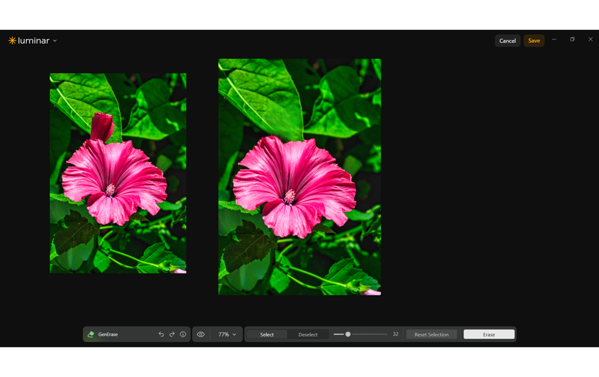Luminar GenErase panel comparing before and after versions of a pink hibiscus flower